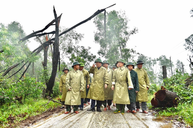 Phó Thủ tướng đến hiện trường thủy điện Rào Trăng 3 - ảnh 1