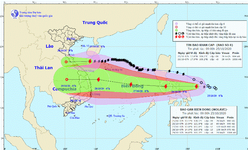 Khẩn: Bão số 8 tiến sát Hà Tĩnh – Quảng Trị - ảnh 1