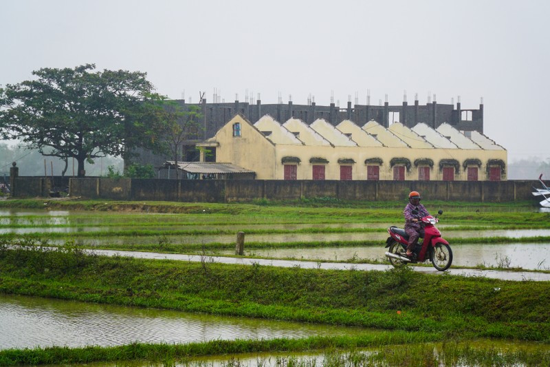 1 trường tiểu học ở Quảng Bình tan hoang sau bão số 13 - ảnh 8