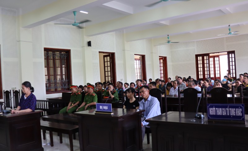 Bà nội sát hại cháu 11 tuổi lãnh 12 năm tù - ảnh 2