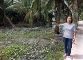 Tòa ‘quên’ ủy ban nên bị hủy án