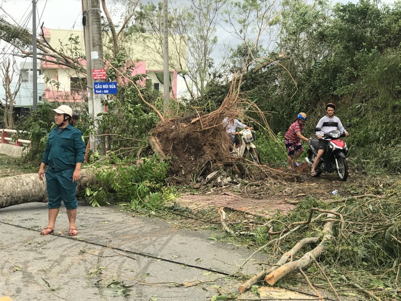 Quảng Ngãi tan hoang sau bão, hơn 38.000 nhà bị tốc mái - ảnh 2