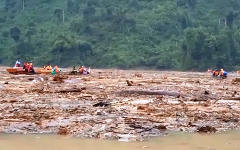 Quảng Nam: Xác gỗ ken kín mặt nước ở lòng hồ thủy điện - ảnh 2