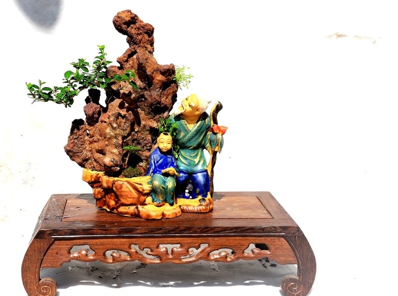 Gặp người sở hữu bộ sưu tập bonsai mini kỷ lục thế giới  - ảnh 4