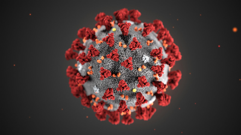 WHO đặt tên virus gây ra dịch COVID-19 là SARS-CoV-2 - ảnh 1