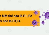 Nhận biết thế nào là F1, F2, khi nào là F3, F4