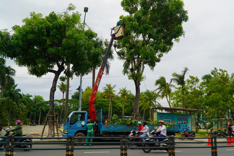 Khách sạn ở Đà Nẵng thuê container về chống bão số 9 - ảnh 5