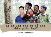 Ai đã làm cho vụ cưa gỗ khô thêm phức tạp?