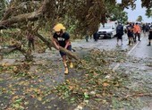 Philippines sơ tán gần 1 triệu dân khi siêu bão Goni sắp đổ bộ