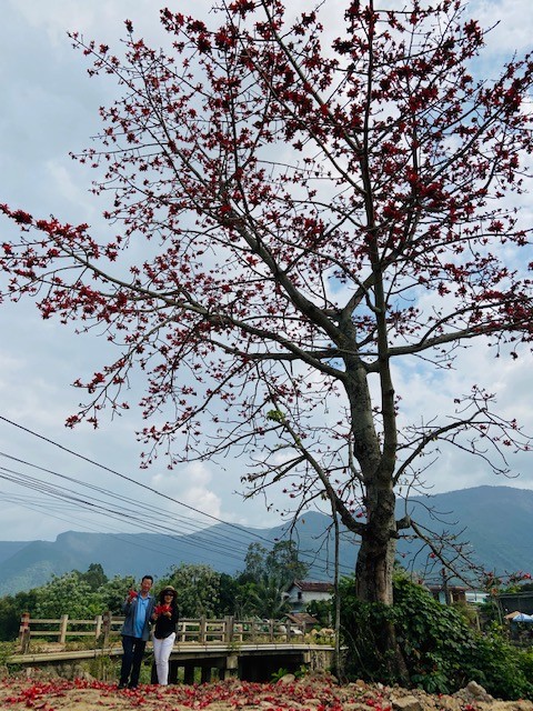 Đi tìm mùa hoa gạo bỏ quên ở núi rừng Quảng Nam  - ảnh 6