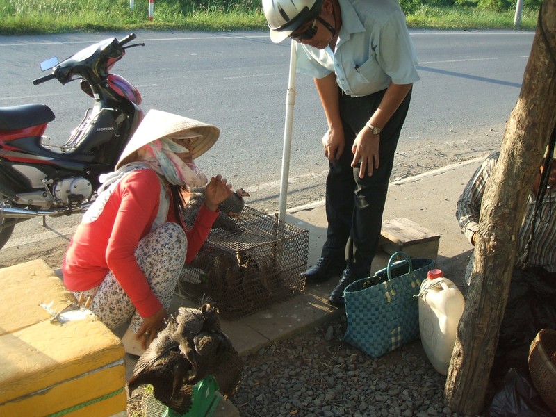 Thưa dần tiếng chim hót ở Sài thành - ảnh 5