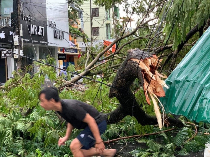 Hàng loạt cột điện ở Huế bị gãy, cúp điện cả tỉnh - ảnh 2