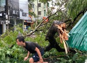 Hàng loạt cột điện ở Huế bị gãy, cúp điện cả tỉnh