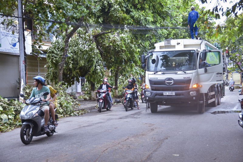 Thành phố Huế ngổn ngang cây đổ sau khi bão quét qua - ảnh 5