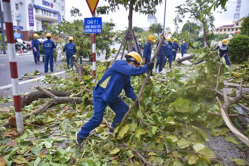 Thành phố Huế ngổn ngang cây đổ sau khi bão quét qua - ảnh 7