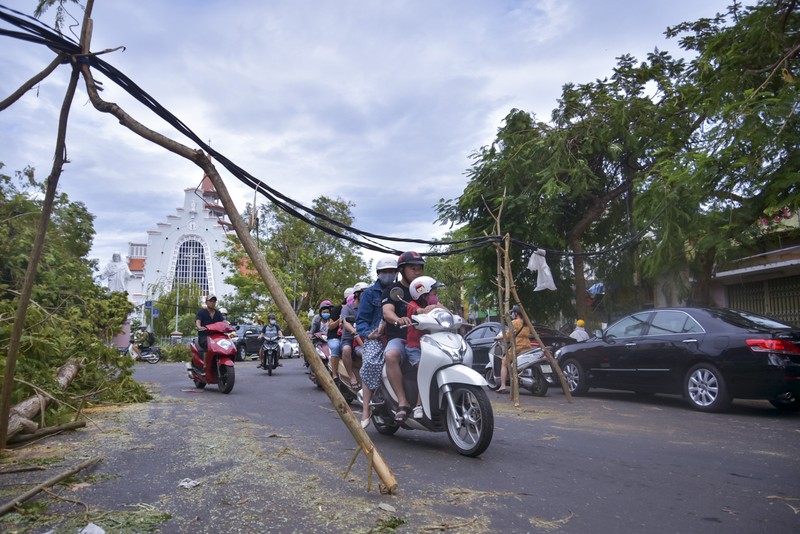 Thành phố Huế ngổn ngang cây đổ sau khi bão quét qua - ảnh 2