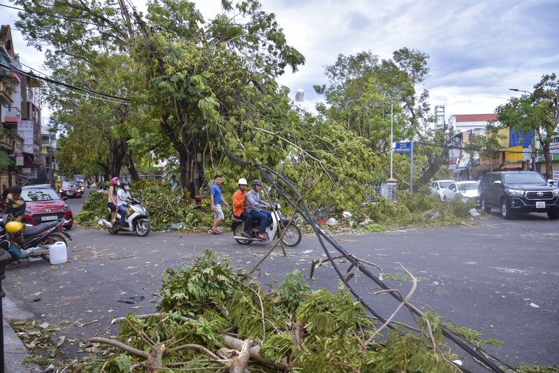 Thành phố Huế ngổn ngang cây đổ sau khi bão quét qua - ảnh 3