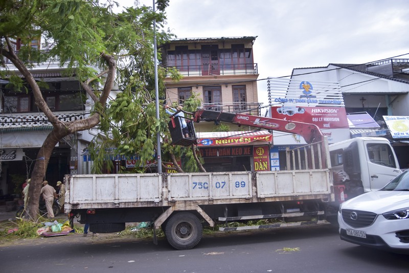 Thành phố Huế ngổn ngang cây đổ sau khi bão quét qua - ảnh 13