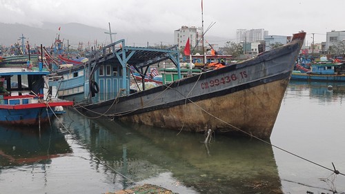 Quảng Bình - Quảng Trị hứng bão số 13: Mưa to, gió quật dữ dội - ảnh 21