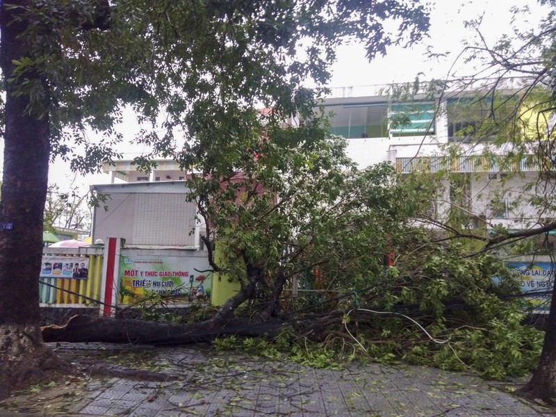 Hình ảnh về thiệt hại do bão số 13 ở Thừa Thiên - Huế - ảnh 4