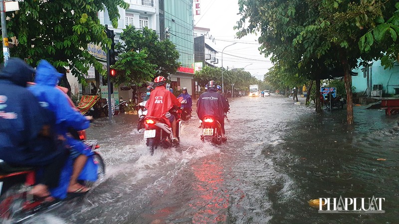 Cây bật gốc, tét nhánh đè nhiều người đi đường ở Gò Vấp - ảnh 8