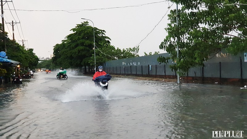 Cây bật gốc, tét nhánh đè nhiều người đi đường ở Gò Vấp - ảnh 9