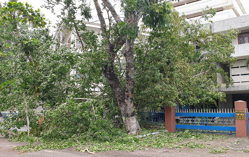 Bình Định: Người dân dọn dẹp nhà cửa, đường phố sau bão - ảnh 1
