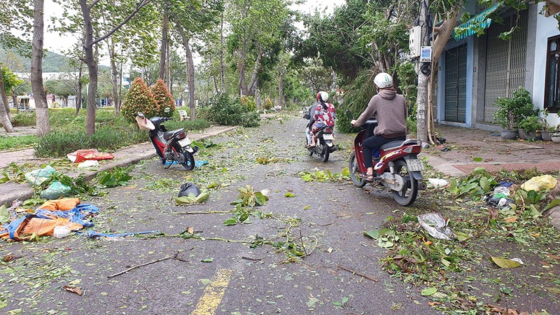 Cảnh tan hoang sau bão số 9 ở TP Quy Nhơn, Bình Định - ảnh 16