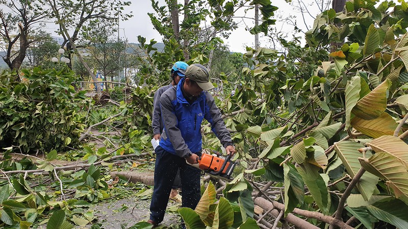 Bình Định: Người dân dọn dẹp nhà cửa, đường phố sau bão - ảnh 4