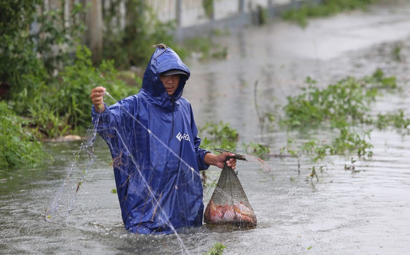 Quảng Nam: Người dân đội mưa bắt cá trong lũ - ảnh 4
