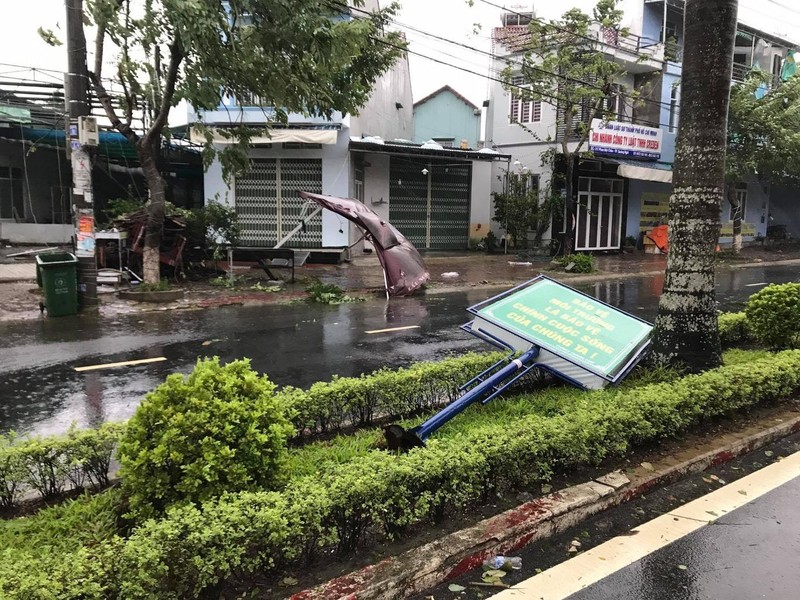 Live: Bão cách Quảng Ngãi 115km, Phú Yên gió giật cấp 10 - ảnh 5