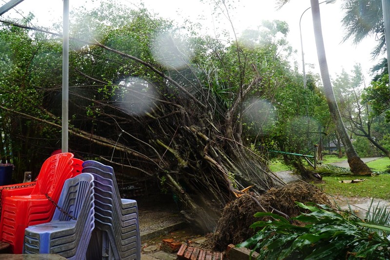Chùm ảnh: Những thiệt hại ban đầu khi bão số 9 áp sát đất liền - ảnh 8