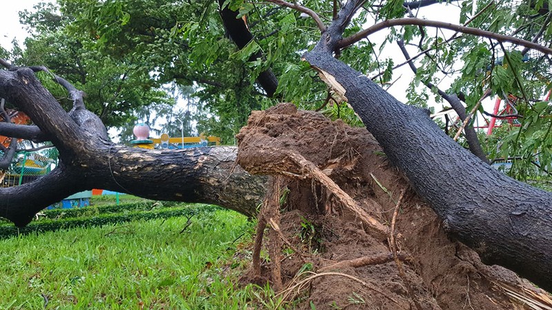 Chùm ảnh: Những thiệt hại ban đầu khi bão số 9 áp sát đất liền - ảnh 9