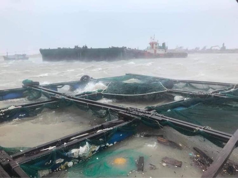 Chùm ảnh: Huyện đảo Lý Sơn thiệt hại nặng nề do bão số 9 - ảnh 10