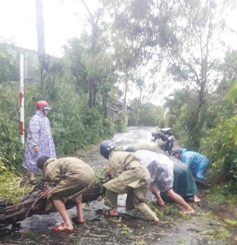 Live: Bão cách Quảng Ngãi 115km, Phú Yên gió giật cấp 10 - ảnh 1