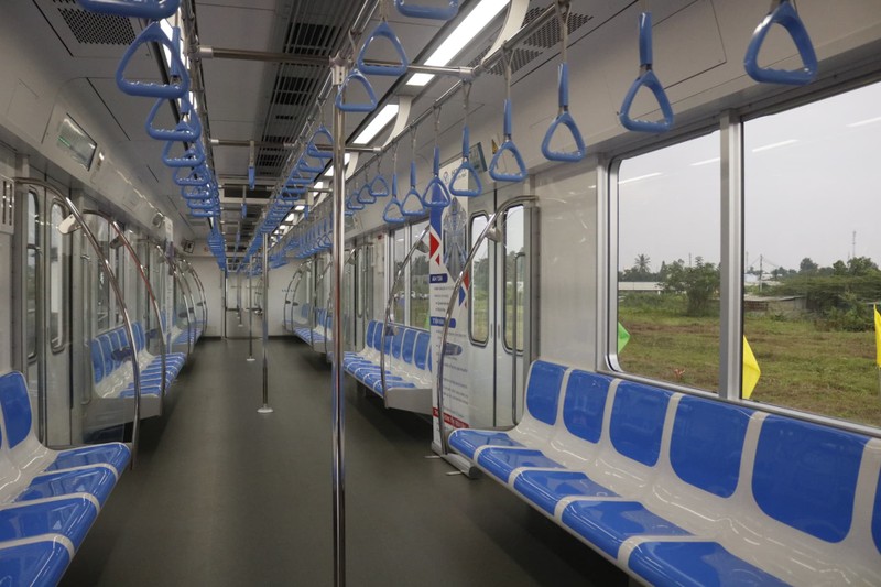TP.HCM tổ chức lễ đón đoàn tàu metro số 1 đầu tiên - ảnh 5
