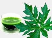 Bất ngờ với tác dụng giải độc của lá đu đủ
