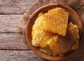 Keo ong có khả năng chống ung thư
