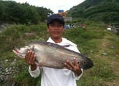 Cần thủ Quảng Nam câu được cá thác lác “khủng“