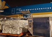 Vietnam Airlines tăng thị phần chở hàng xuất nhập khẩu