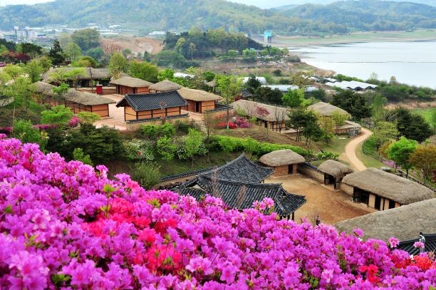 Lượng khách Việt đến Hàn Quốc giảm sâu chưa từng thấy - ảnh 1