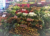Trái vải đầu mùa Bắc Giang tăng giá bất chấp COVID-19