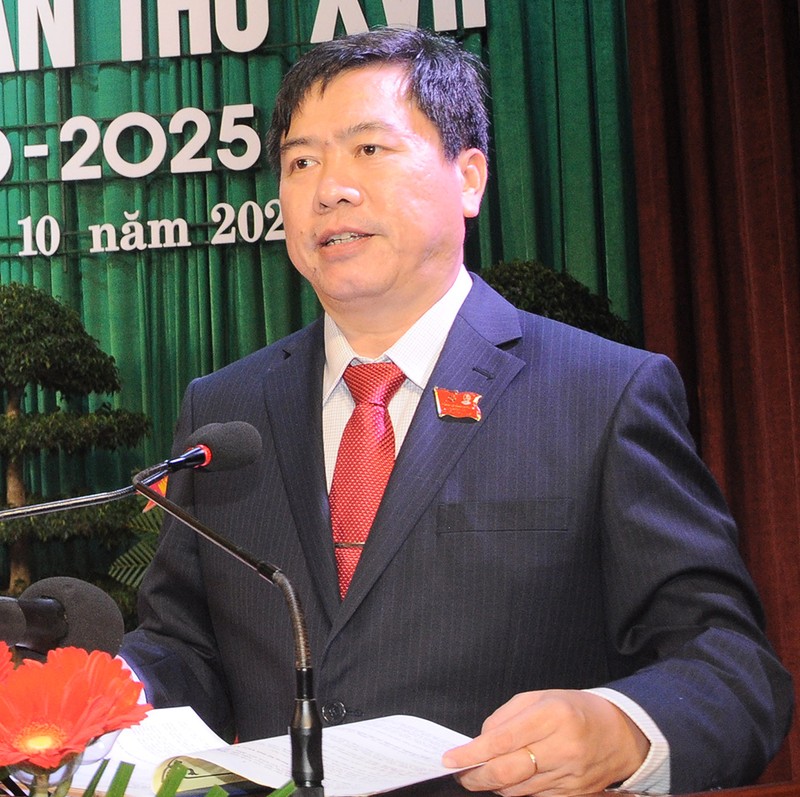 Kết quả bầu Bí thư, Phó bí thư tỉnh ủy Phú Yên nhiệm kỳ mới - ảnh 3