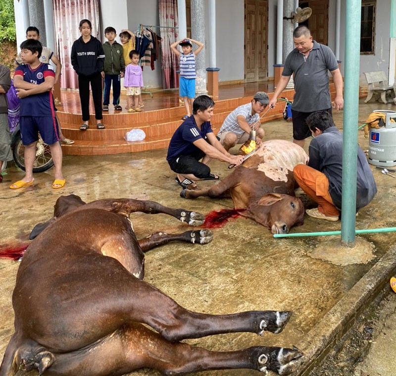 Lũ bất ngờ, hàng ngàn căn nhà ở Bình Định bị ngập - ảnh 8