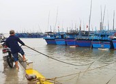 Phú Yên cấm biển từ 10g ngày 9-11 để ứng phó bão số 12