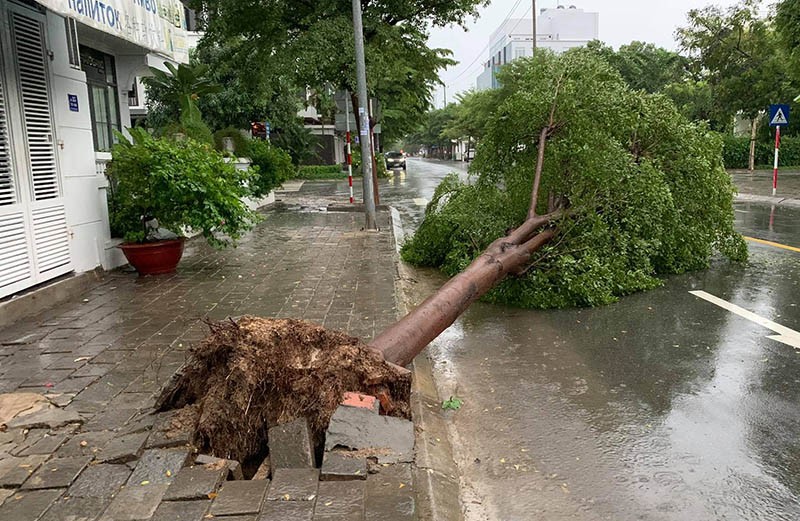 Giải cứu hàng trăm người bị kẹt trong lũ ở Khánh Hòa - ảnh 4