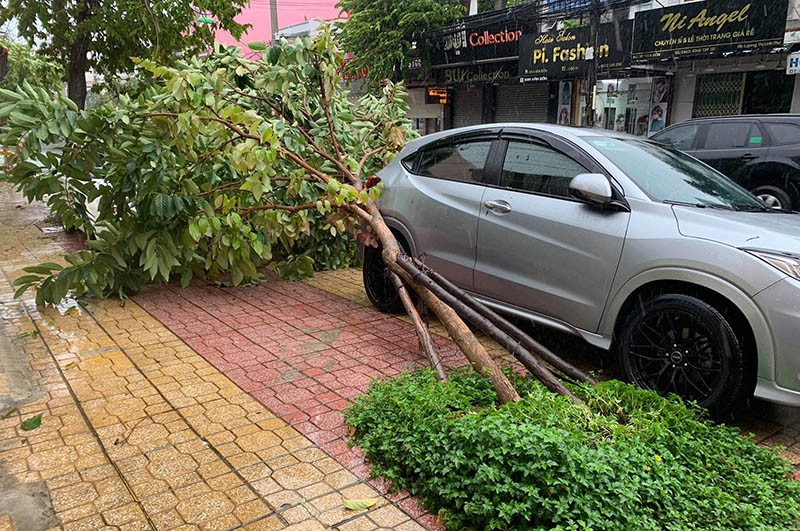 Giải cứu hàng trăm người bị kẹt trong lũ ở Khánh Hòa - ảnh 5