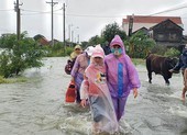 Bão vừa tan, nhiều làng ở Phú Yên hối hả chạy lũ