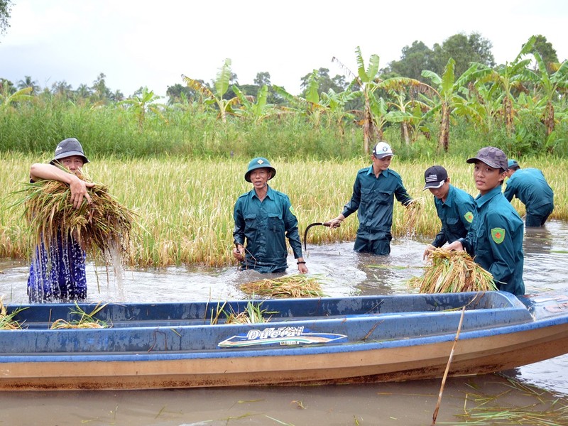 Cà Mau vận động hỗ trợ cho nông dân trong tỉnh và miền Trung - ảnh 1