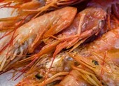 Tài xế bị hành hung đến chết não do nhắc khách đeo khẩu trang ảnh 2 Trung Quốc phát hiện virus SARS-CoV-2 ở mẫu tôm đông lạnh
